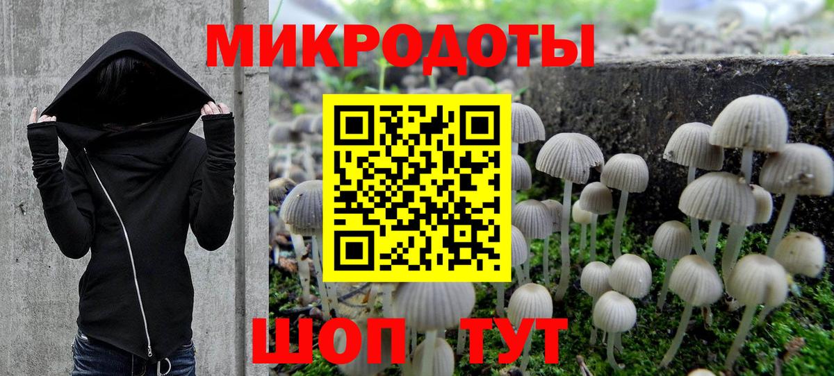 Галлюциногенные грибы прущие грибы  Вход с VPN  Великий Устюг  Галлюциногенные грибы MAGIC MUSHROOMS 